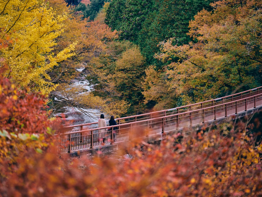 rivertrekking_fall2023 | 東京裏山RIVER FRONT